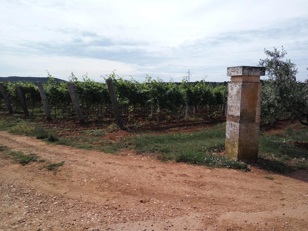Apartment Asparagus Rovinjsko Selo Εξωτερικό φωτογραφία